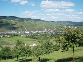 Apartment Kinheim Environment 27