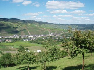 Appartement Kinheim Omgeving 15
