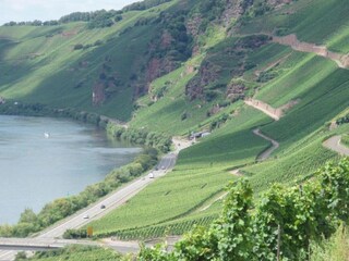 Apartment Kinheim Umgebung 24