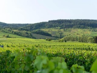 Appartamento Kinheim Ambiente 15