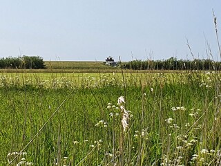 Feldweg hinterm Haus mit Blick auf den Deich