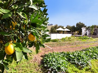 Villa Ingenio Environment 30