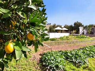 Villa Ingenio Environnement 30