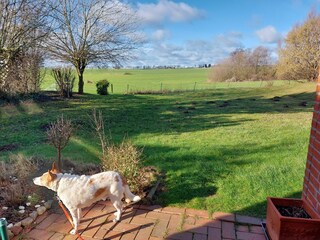 Hunde willkommen