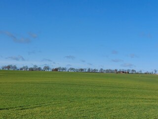 Blick über das Feld