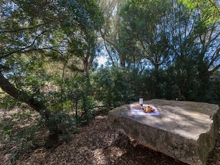 Villa Porreres Buitenaudio-opname 7
