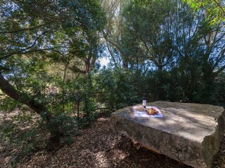 Villa Porreres Registrazione all'aperto 10