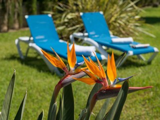 Chalet Alcudia Enregistrement extérieur 18
