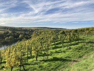 Appartement Erpeldange-lez-Bous Environnement 18