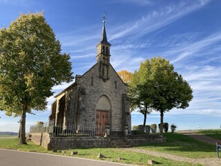 Apartment Erpeldange-lez-Bous Umgebung 29