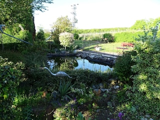Apartment Erpeldange-lez-Bous Outdoor Recording 3