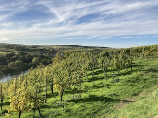 Appartement Erpeldange-lez-Bous Environnement 33