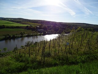 Apartamento Erpeldange-lez-Bous Entorno 35