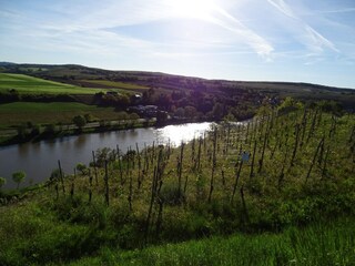 Apartment Erpeldange-lez-Bous Environment 38