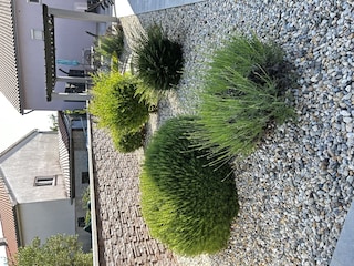 Ferienhaus Pinezići (Krk) Außenaufnahme 9