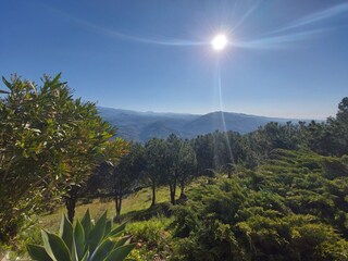 Vakantiehuis Rincon de la Victoria Omgeving 61