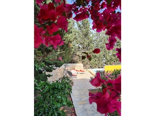 Blick zum Schwimmbad