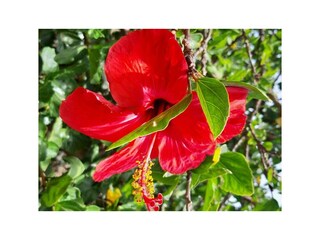 Holiday house Rincon de la Victoria Outdoor Recording 33