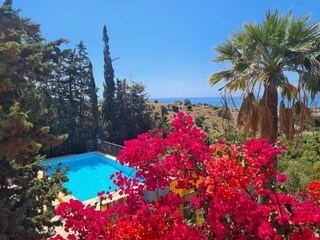 Blick zum Pool und Meer