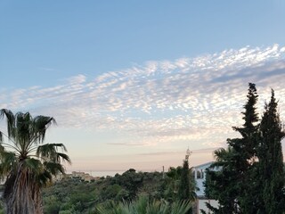 Blick von der Terrasse über den Garten