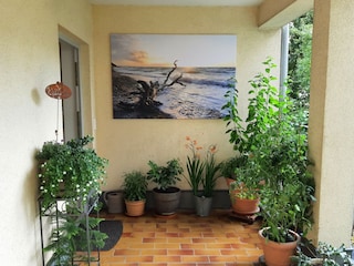 Appartement de vacances Rostock Enregistrement extérieur 3