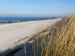 Baltic Sea beach in autumn