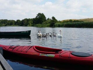 Paddling on the river Warnow