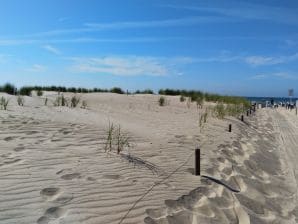 Vakantieappartement Centraal - Rostock - image1