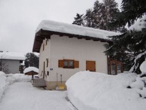 Holiday house Schweizerhaus - Tristach - image1