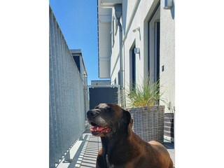 Casa de vacaciones Harlesiel  32