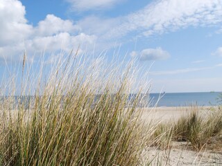 Der Strand ist nur wenige Meter entfernt