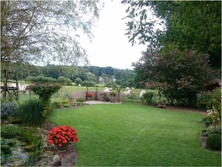 Apartamento de vacaciones Walsrode Grabación al aire libre 8