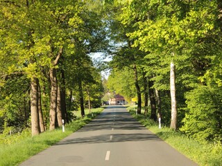 Apartamento de vacaciones Walsrode Entorno 36