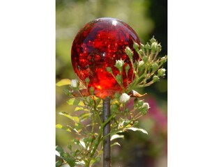 Apartamento de vacaciones Walsrode Entorno 32