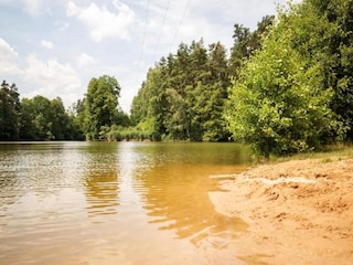 Ferienhaus Bruck in der Oberpfalz Umgebung 14