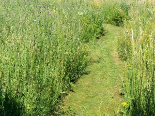 Ferienhaus Bruck in der Oberpfalz Umgebung 30