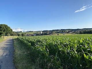 Blick auf Grafenhausen