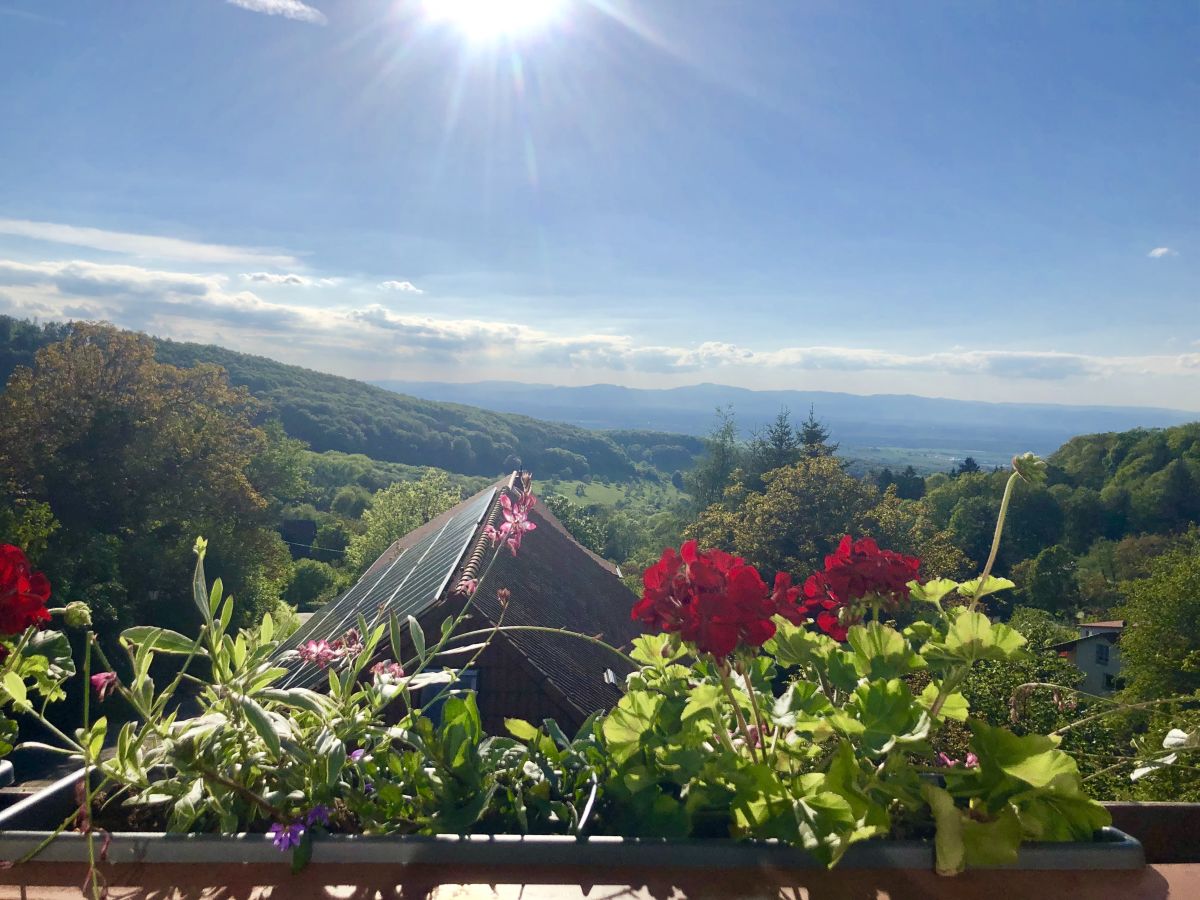 Blick in die Rheinebene vom Balkon aus...