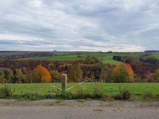 Landschaft Nünschweiler Birkenstaude