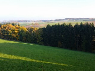 Landschaft Nünschweiler Lohrberg