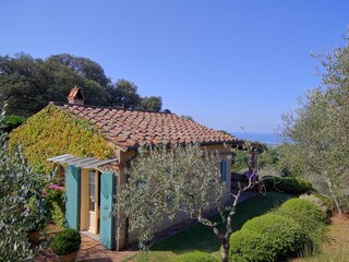 Casa de vacaciones Camaiore Grabación al aire libre 3