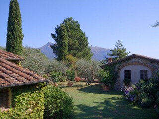 Ferienhaus Camaiore Außenaufnahme 9