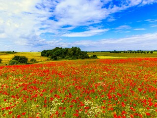 Appartamento Burgtiefe Ambiente 37