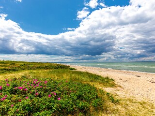 Appartement Burgtiefe Environnement 30