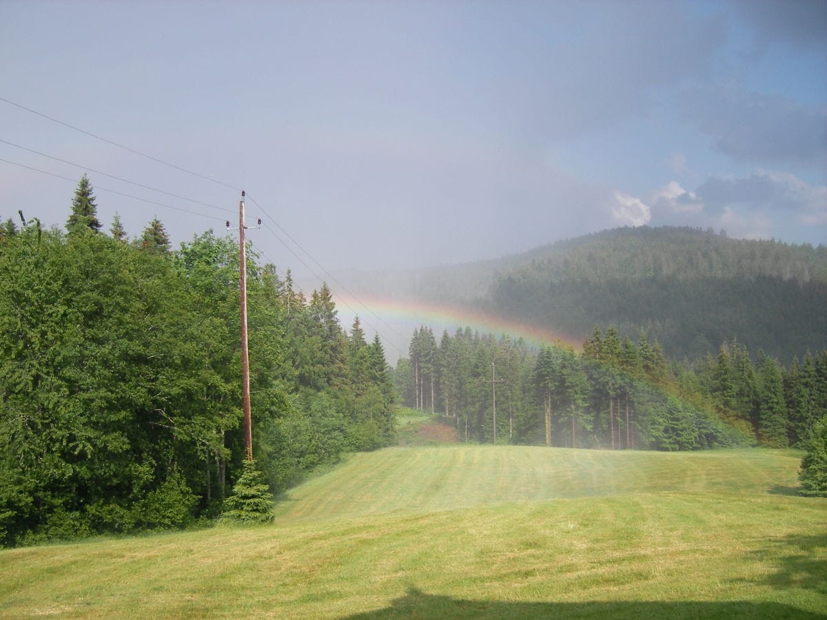 Sommerbild mit Regenbogen