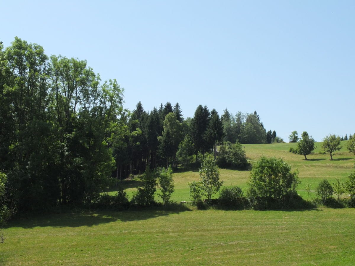 Aussicht vom Balkon direkt in die Natur