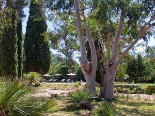 Villa Le Pradet Registrazione all'aperto 10