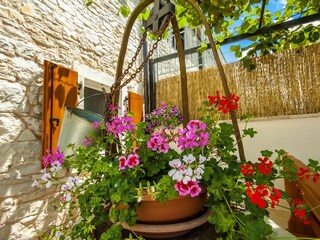 Villa Barban Registrazione all'aperto 12