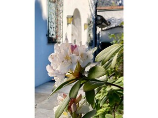 Appartamento per vacanze Garmisch-Partenkirchen Registrazione all'aperto 3