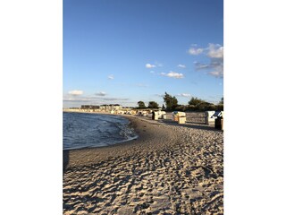 Hundestrand